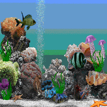2508050253_1.gif, 278 KB
