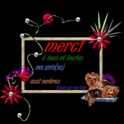 2665672302_small_1.png, 147 KB