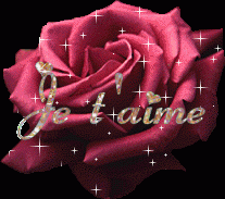Jet_aime.gif, 32 KB