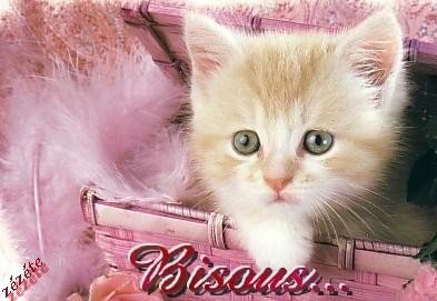 bisous.jpg, 33 KB
