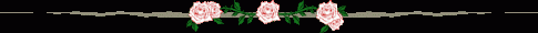 rose2b.gif, 2 KB